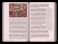 9789493246607 queer flora fauna and funga spread3dpi