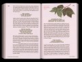 9789493246607 queer flora fauna and funga spread5dpi